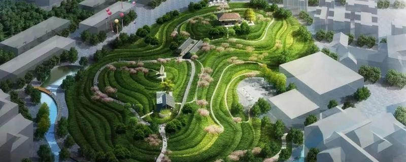 关于2020年恩施硒茶产业发展大事记（一）的最新资讯