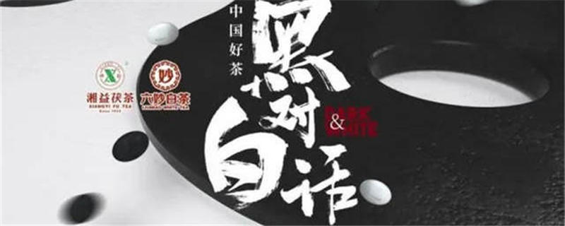 有关于全国首届《中国好茶 黑白对话》 高峰论坛隆重举行的资讯