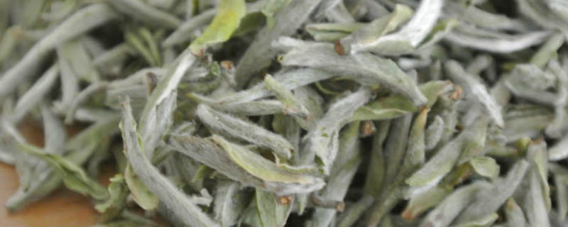 关于全国白茶产量已超7万吨 农业产值达75亿元的热门消息