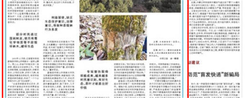 有关于坚决遏制种茶毁林行为！《人民日报》关注云南专项整治的热门信息