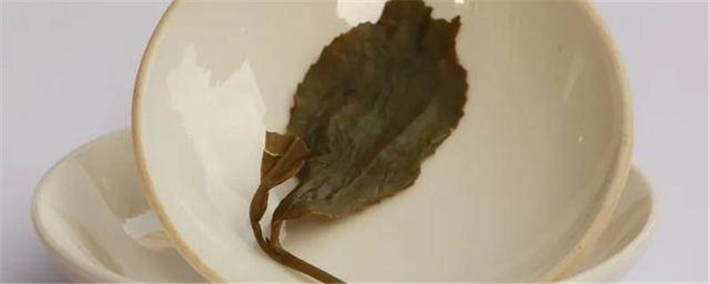 关于千亿市场，没有1个百亿茶企！你不知道的茶业大数据的热门消息