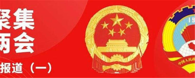 有关于全国人大代表刘文新建议：扶优扶强龙头茶企 建立茶旅专项基金的新闻