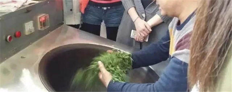 有关于该填报志愿了，茶学毕业生，后来怎样了？的消息