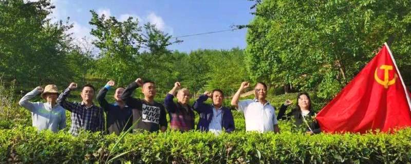 关于普洱景东县茶特发展中心 助推传统茶产业发展的热门消息