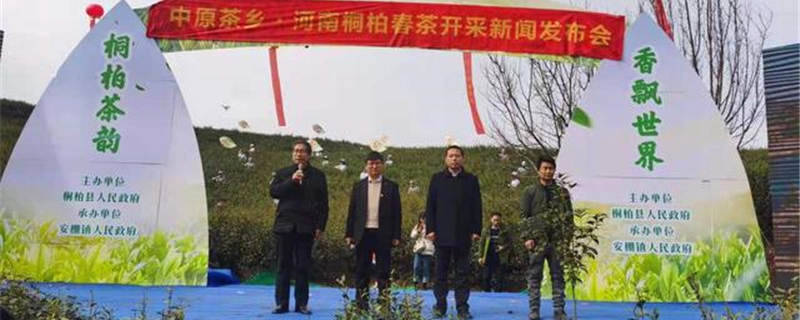 有关于河南桐柏：淮河源头产好茶 生态茶园美如画的最新消息