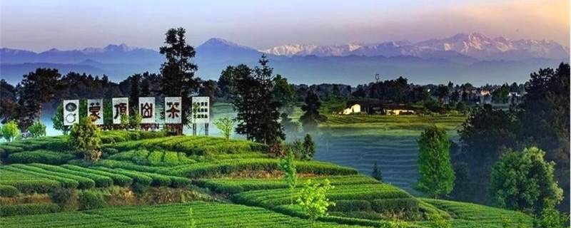 有关于2021中国茶叶区域公用品牌价值评估发布，蒙顶山茶40.99亿元的消息