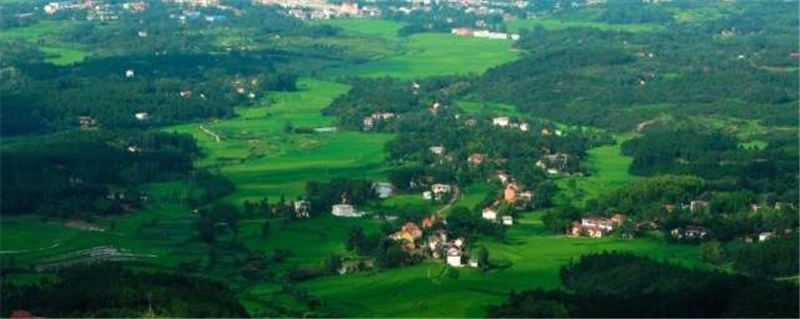 有关于上海茶博会 ：河南信阳以茶为媒链接世界的热门新闻