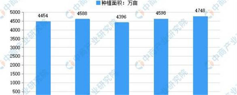 有关于2021年中国茶园种植采摘面积分析：云南采摘面积604.65万亩的最新信息