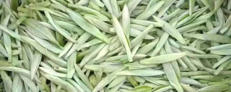 有关于乐山沐川舟坝农民丰收：“茶路”越走越宽的热门新闻