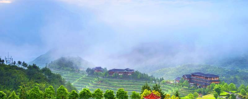 有关于发展茶叶庄园经济与促进产业转型升级的思考及对策的热门信息