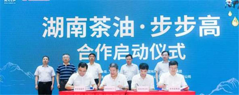 关于“湖南茶油”入驻步步高超市 共塑湖湘名品的最新信息