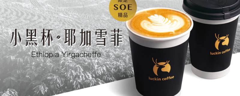 有关于2020新消费饮品：咖啡热度反增，奶茶头部上市，无糖走红的热门新闻