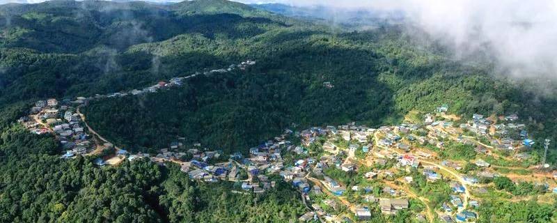 有关于帕沙老寨：勤劳双手助脱贫 茶叶织就新房梦的新闻