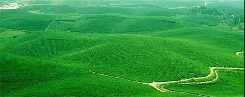 有关于贵州省湄潭：六十万亩茶园隐藏着科技密码的信息