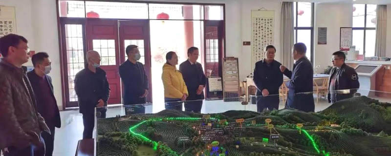 有关于宜昌市农业农业局领导专家考察名山茶产业的最新消息