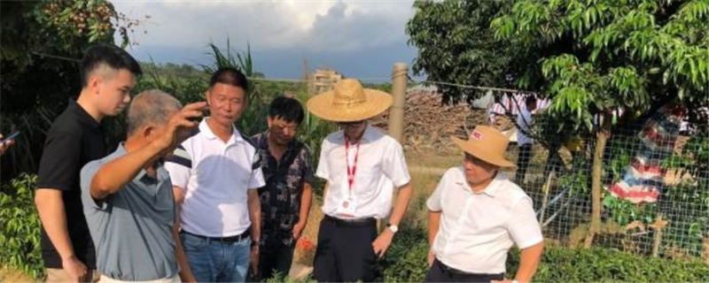 有关于湛江首单茶叶保险签出，茶农获60万风险保障的信息