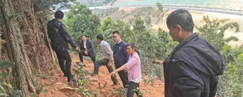 关于邦东：持续巩固专项整治成果 坚决防止种茶毁林行为反弹的热门新闻