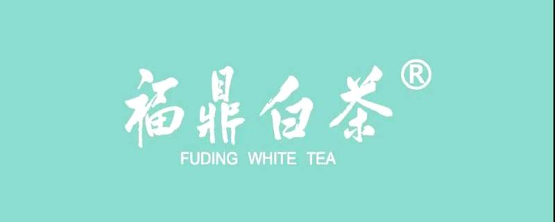 有关于绿色理念绘就新的发展蓝图，有机白茶品牌助推国茶振兴！的最新消息
