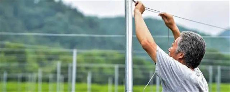 有关于双峰村茶园防晒装备大升级！今年夏天让茶农们都能睡个好觉的最新信息