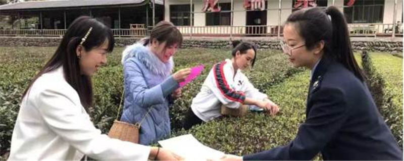 关于把农民的“茶篮子”变成鼓鼓的“钱袋子”的热门新闻