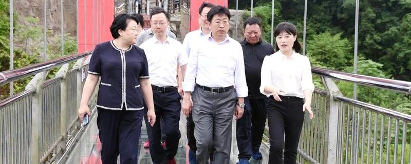 有关于贵州省副省长谭炯调研凤冈茶产业和康旅产业融合发展工作的资讯