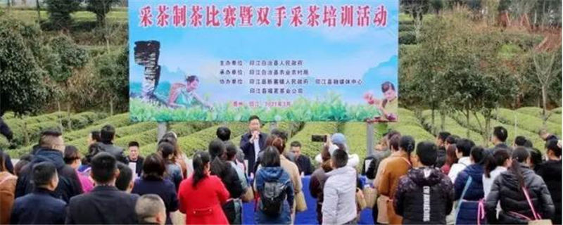有关于梵净茶缘“高手”齐聚，印江上演茶艺大比拼的最新资讯
