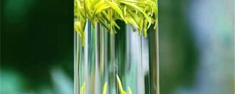 关于让茶友们享口福，北京老字号春茶陆续上市的消息