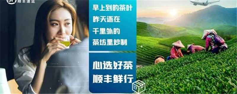 关于浙江春茶上市正当时 顺丰为浙江茶农茶商排忧解难的最新资讯