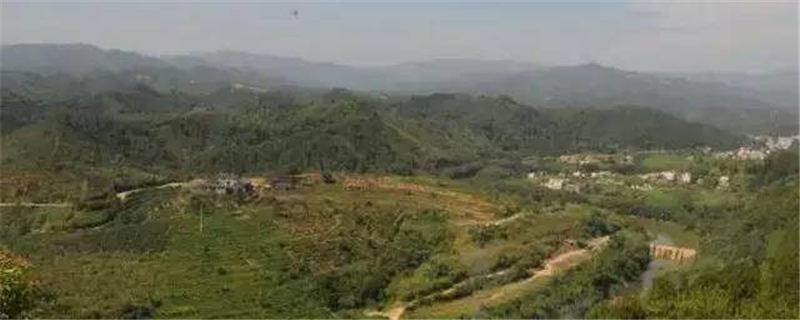 有关于构建现代茶产业体系，推动六堡茶产业高质量发展的信息