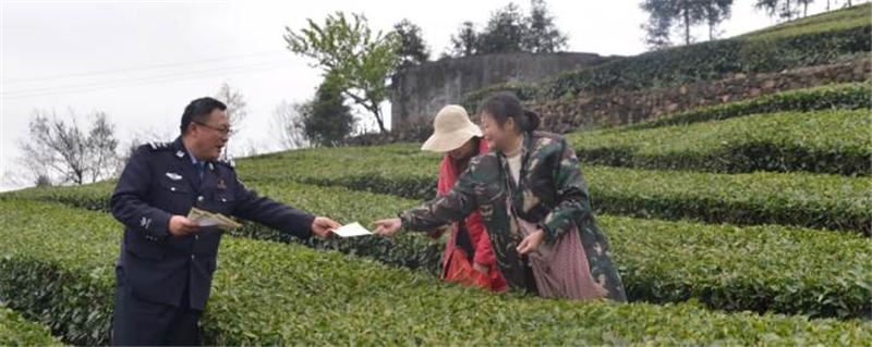 关于宜昌五峰交警走进茶园 向茶农发放交通安全宣传册的热门消息