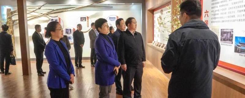关于广西自治区政府党组成员蔡丽新调研六堡茶文化和产业发展情况的消息