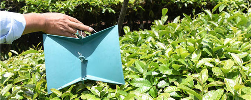 有关于四平市市场监管局开展酒茶市场食品安全专项整治的消息