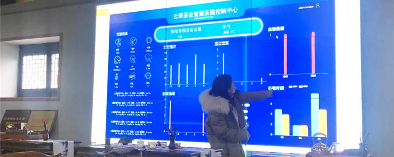 有关于一部手机掌控整个茶园，浙江开化茶农有了“好帮手”的消息