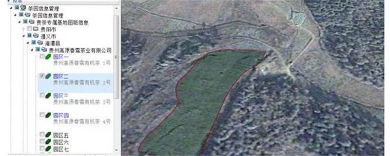 有关于茶园+“大数据” 数字化管控让干净黔茶品质更稳定的信息