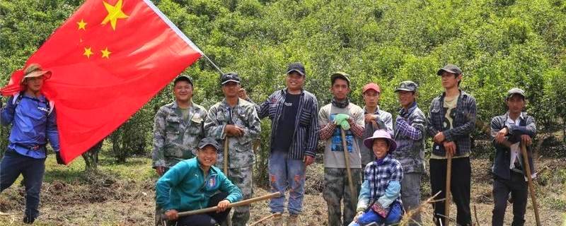 关于曼冈青年 助力打造鹿塘山生态茶园样板区的热门消息