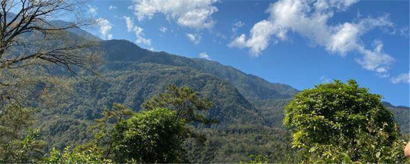 有关于一件茶叶6900万：茶叶炒作的恶性循环，终于还是来了的最新消息