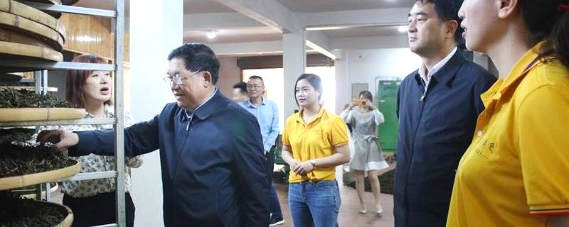 关于海峡两岸茶业交流协会会长陈绍军等一行深入武夷山调研茶产业的新闻