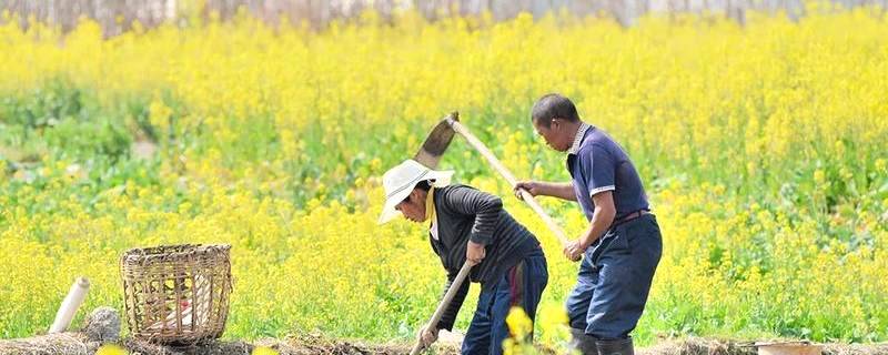 关于澜沧县景迈茶产业农村产业融合发展示范园入选创建名单的热门信息