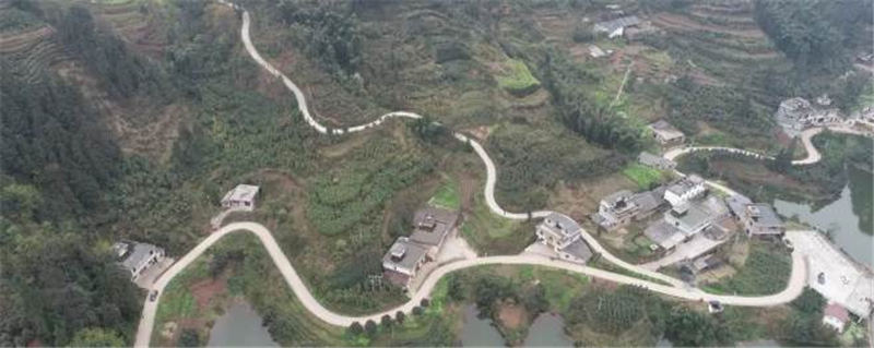 有关于兴隆乡大田村：阳春三月好风光 群众山上采茶忙的最新消息