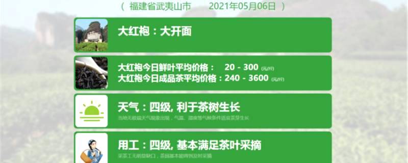 关于一周速读：茶王专访、乌龙茶品种‘黄旦’、大咖探讨川茶发展的热门新闻