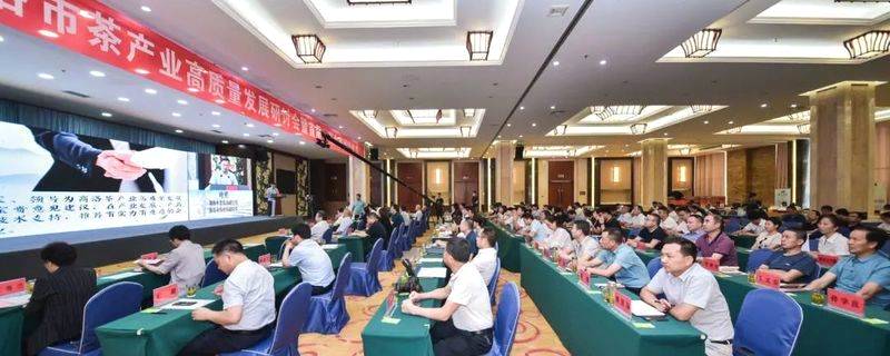 关于中国茶叶学会组织专家走进商洛，助力商洛茶业高质量发展的资讯
