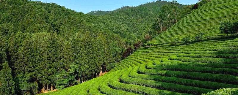 有关于梧州海关助企业解难题谋发展 推动“我为群众办实事”落地见效的最新消息