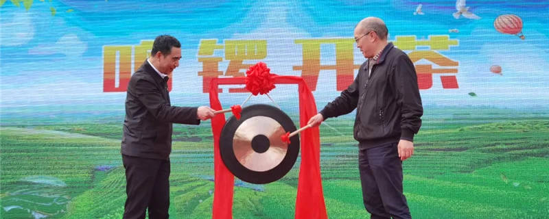 关于“坦洋工夫”春茶正当时，科技力量创良好开局的热门资讯