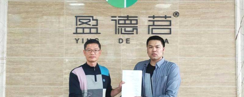 关于茶情报携手英德红茶品牌【盈德茗】，谱写有机茶新篇章的最新消息