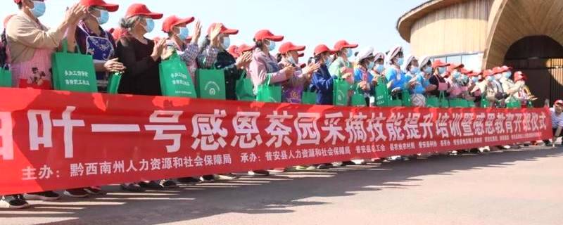 关于贵州普安：强化携茶管护培训，助力产业增效、群众增收的新闻