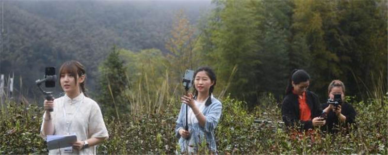 有关于杭州东坑村：2000余亩高山有机茶正式开采现场直播的最新消息