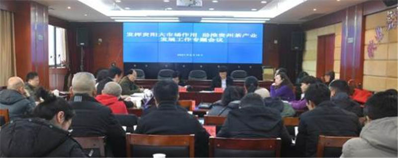 有关于发挥贵阳大市场优势 助推贵州茶产业发展的资讯