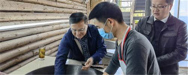 有关于雅安市农业农村局党组书记倪林赴茶叶生产基地调研的最新消息