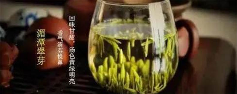 有关于张天福选址的茶场，诞生西湖龙井的贵州“私生子”的热门资讯