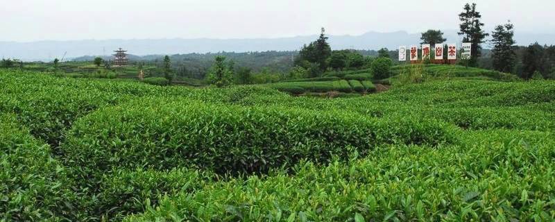 关于人民银行：积极推动农村金融改革 引导金融资源支农惠农的资讯